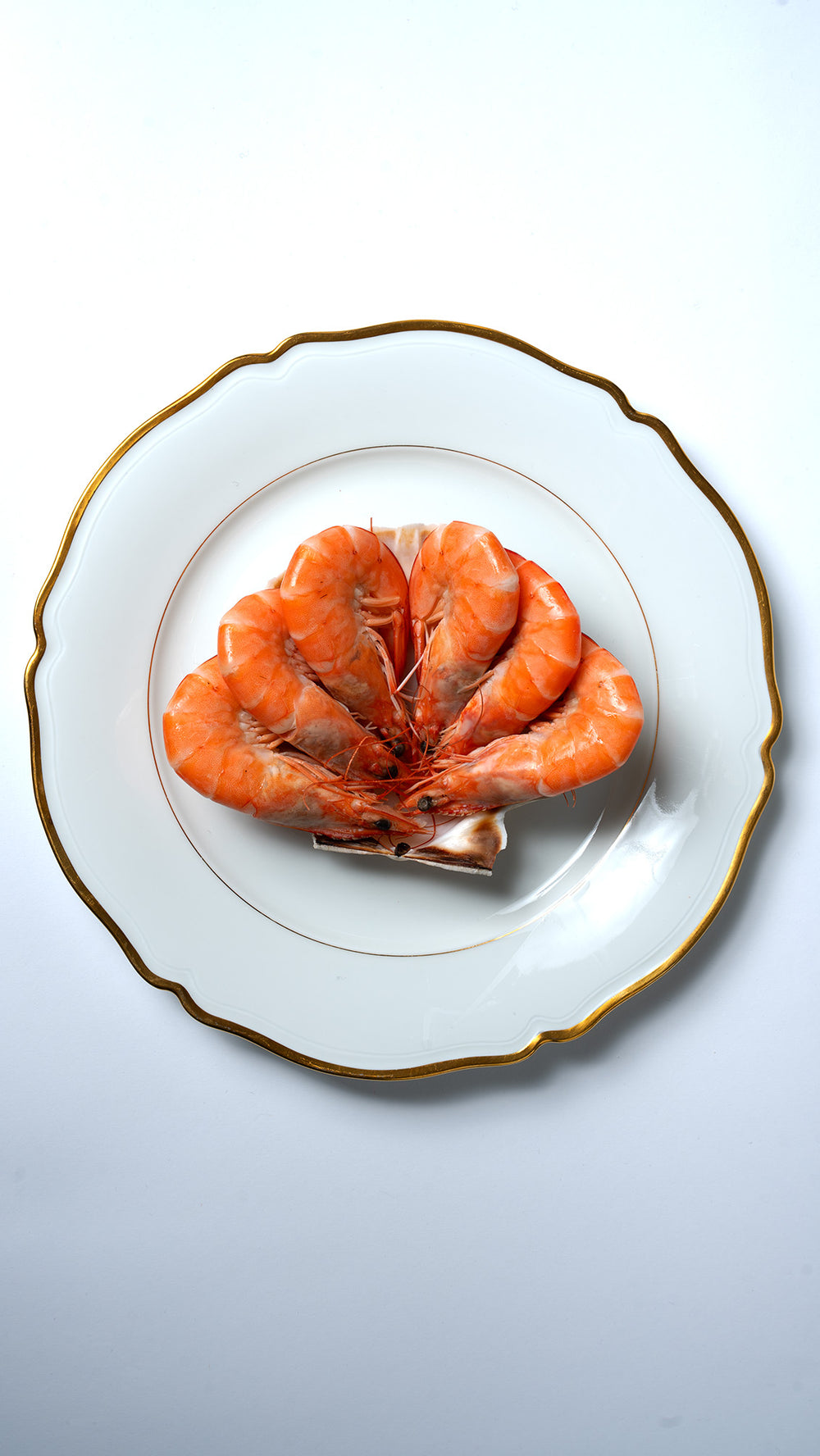6 crevettes roses – photo 2 – Loup D’Mer