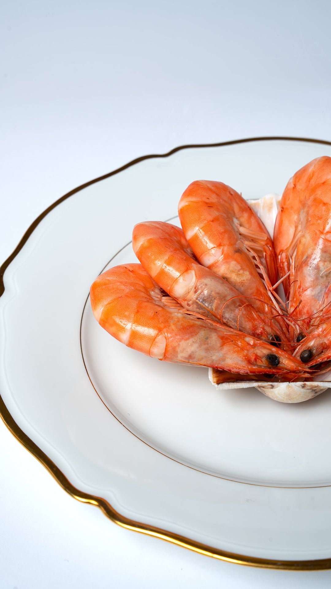 6 crevettes roses – photo 1 – Loup D’Mer