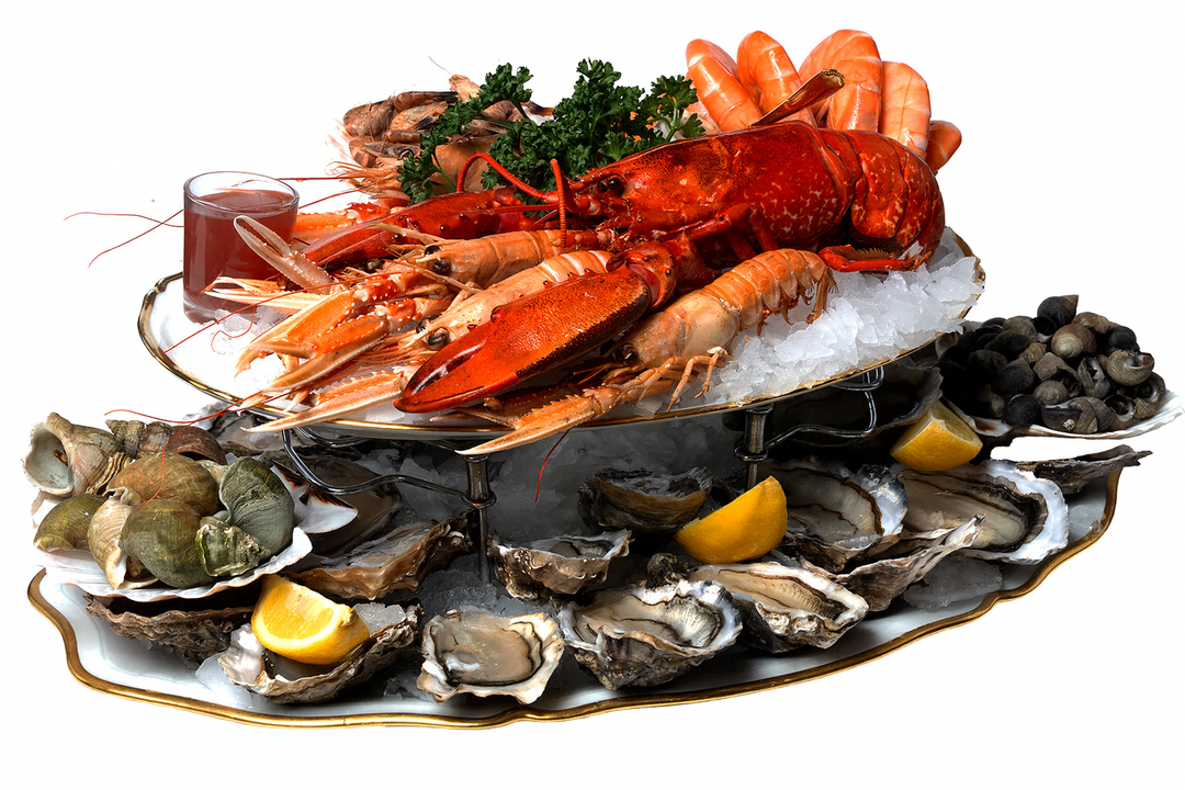 Plateau de fruits de mer Belle-Île – photo 1 – Loup D’Mer
