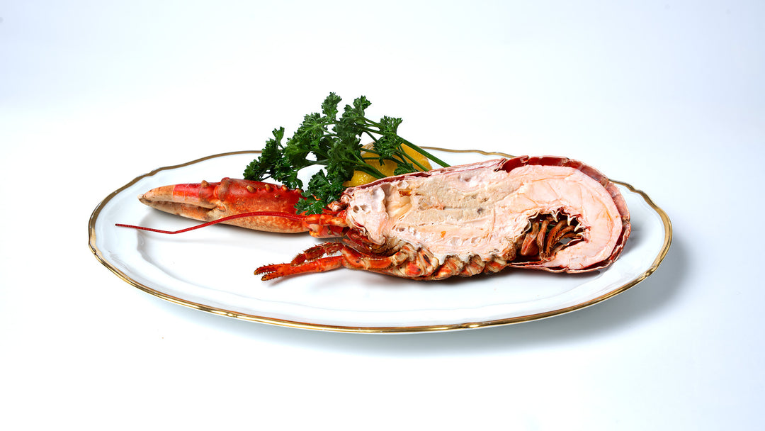 Demi-homard bleu breton – photo 1 – Loup D’Mer