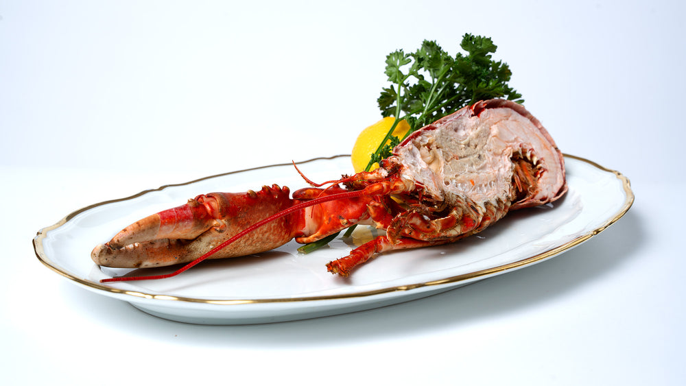 Demi-homard bleu breton – photo 2 – Loup D’Mer