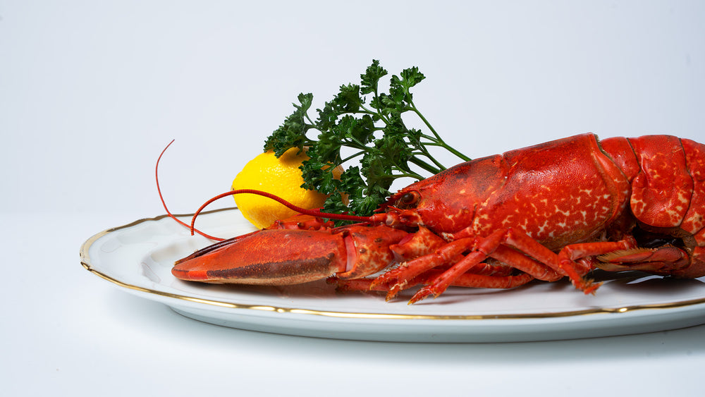 Homard bleu breton – photo 2 – Loup D’Mer