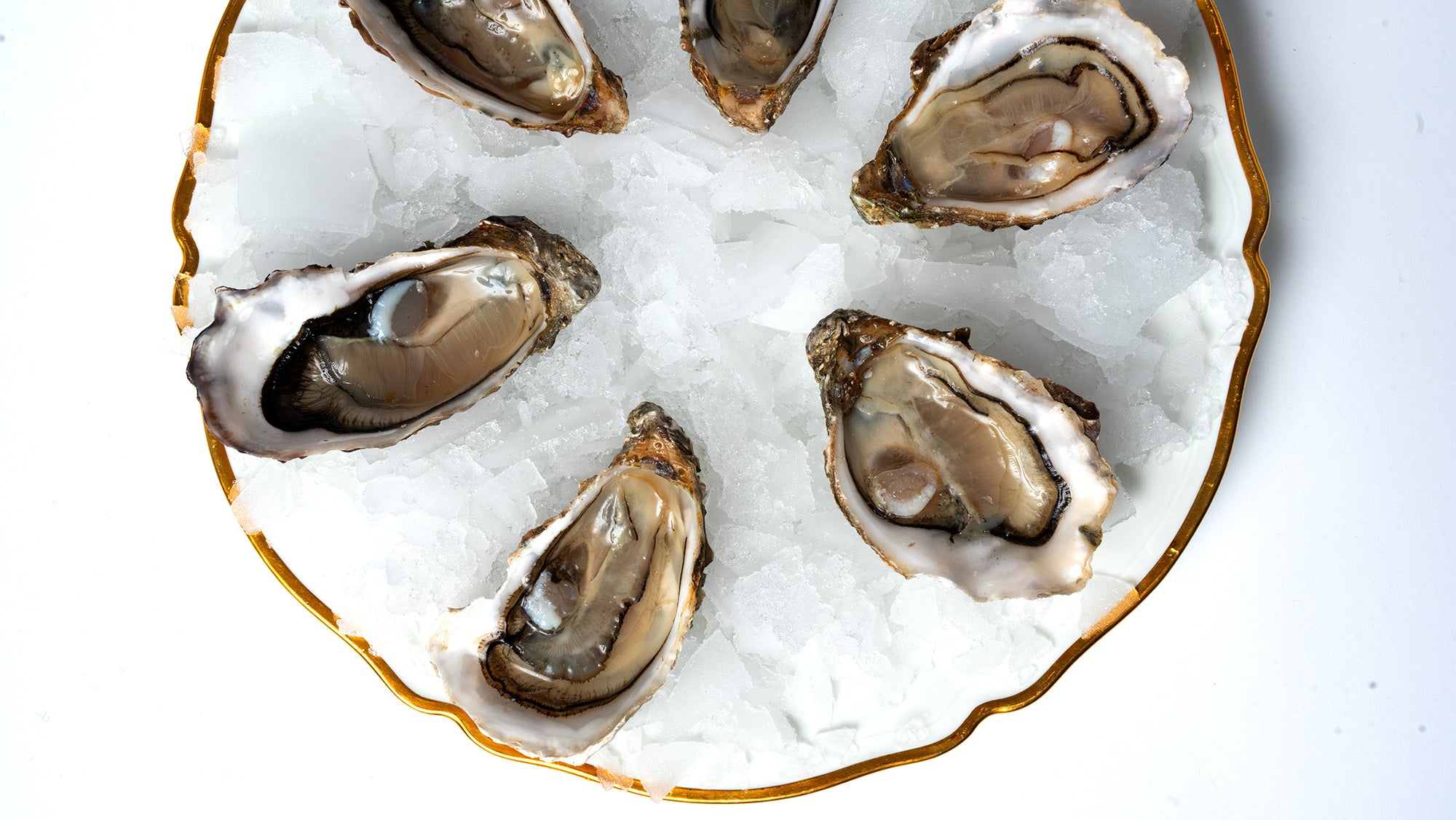 12 Huîtres fines N°4