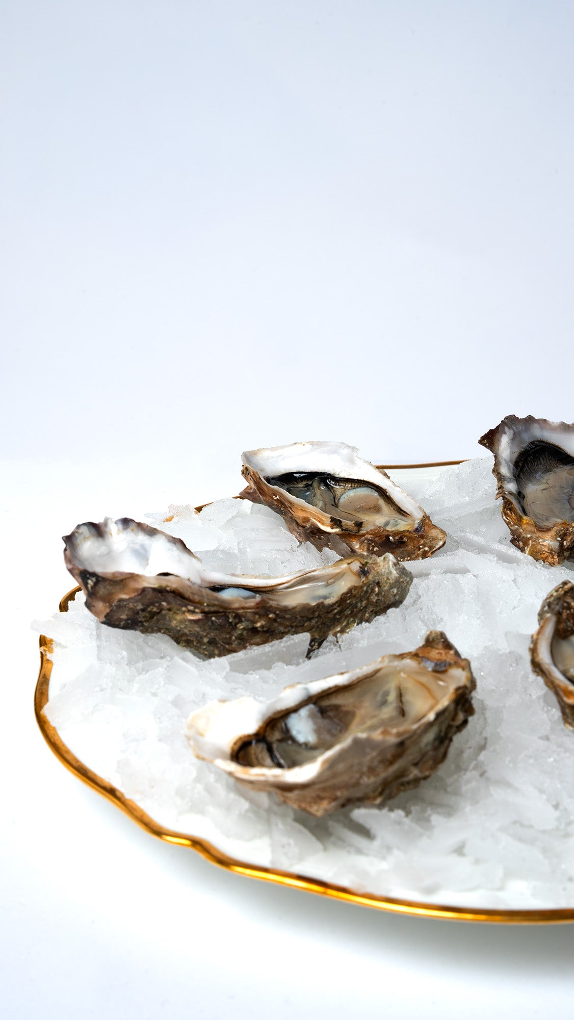 12 Huîtres fines N°4