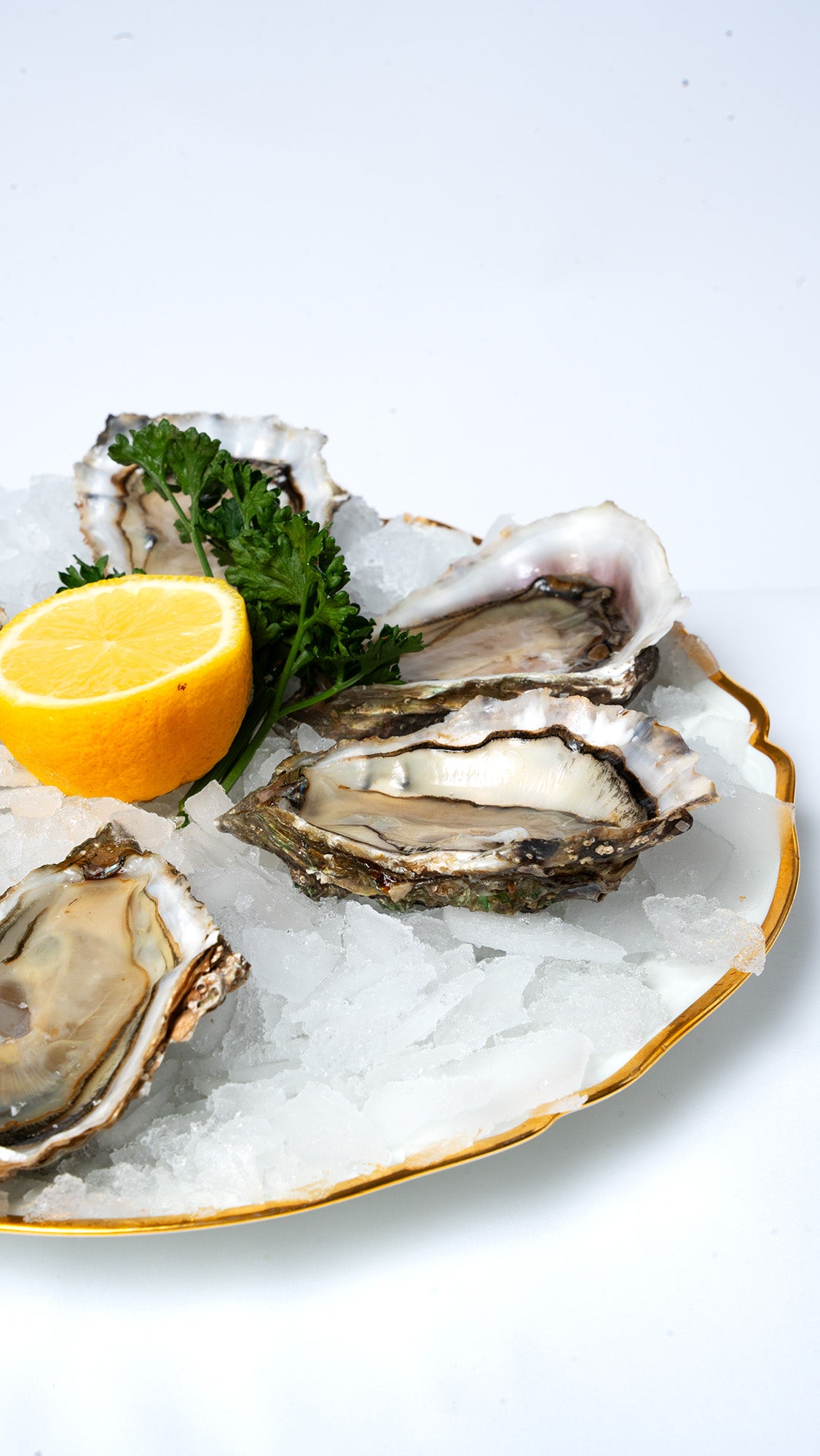 6 Huîtres Spéciales pleine mer N°3