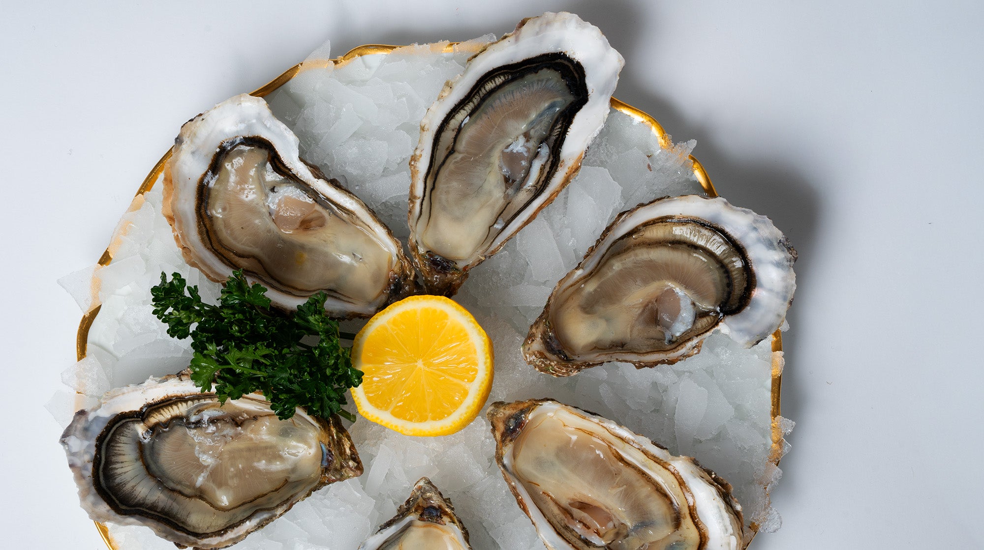 12 Huîtres Fines N°2