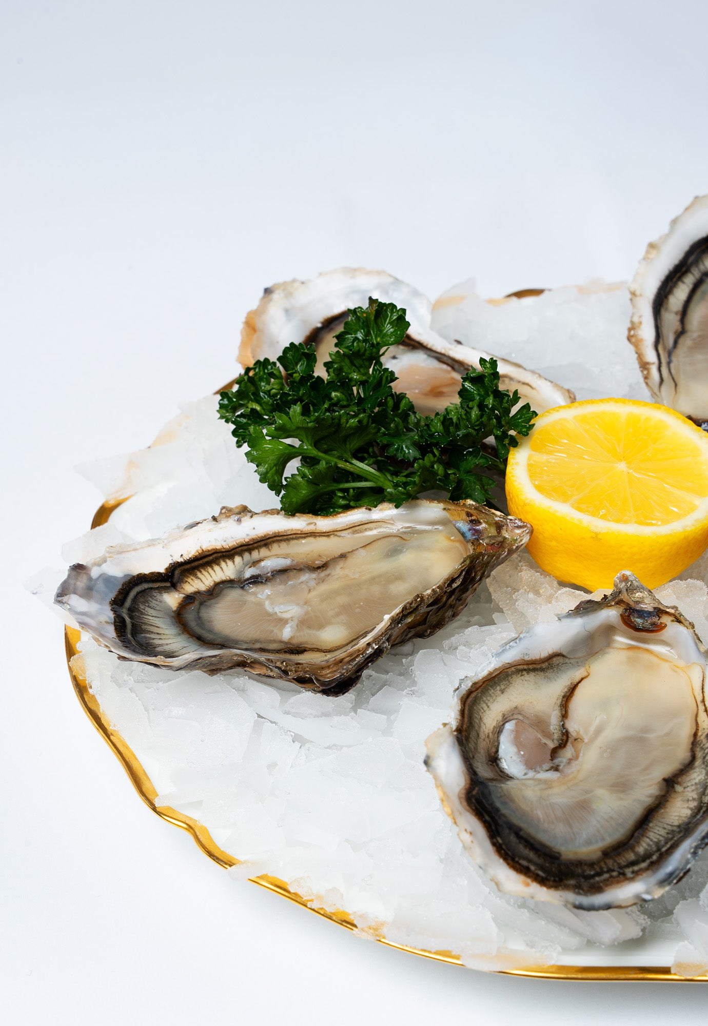 12 Huîtres Fines N°2