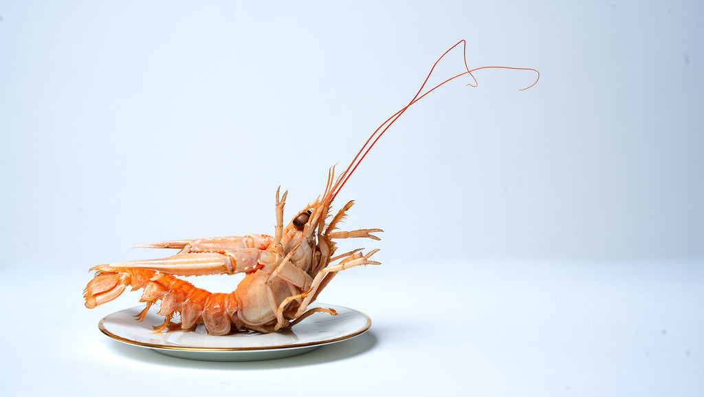 Langoustines
