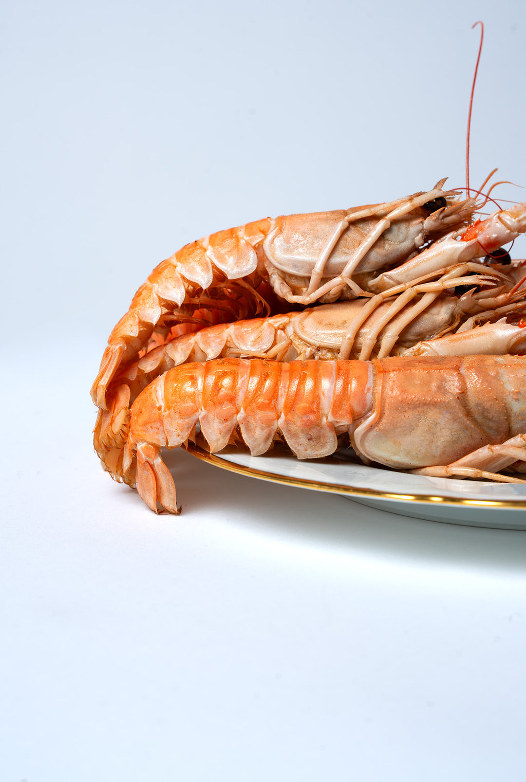4 langoustines – photo 1 – Loup D’Mer