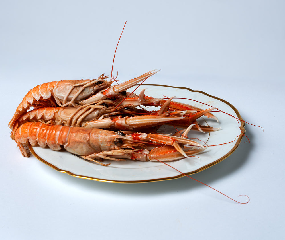 4 langoustines – photo 2 – Loup D’Mer